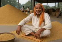 35 हजार से अधिक किसानों से हुई बाजरा खरीद, 421.39 करोड़ रुपये हुआ भुगतान